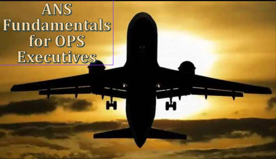 ANS fundamentals for Ops Executives